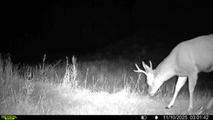 1,319 Acres, Dawes County, Pine Ridge Recreational Oasis