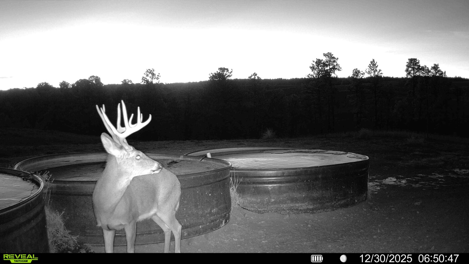 1,319 Acres, Dawes County, Pine Ridge Recreational Oasis