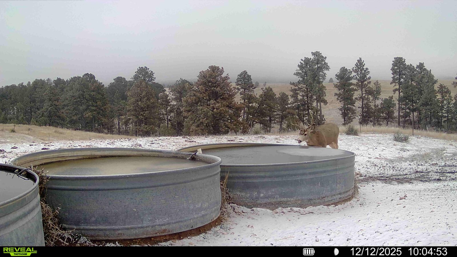 1,319 Acres, Dawes County, Pine Ridge Recreational Oasis