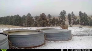 1,319 Acres, Dawes County, Pine Ridge Recreational Oasis