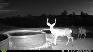 1,319 Acres, Dawes County, Pine Ridge Recreational Oasis