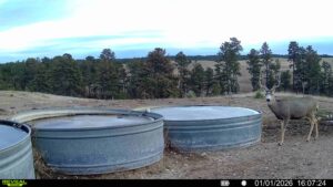 1,319 Acres, Dawes County, Pine Ridge Recreational Oasis