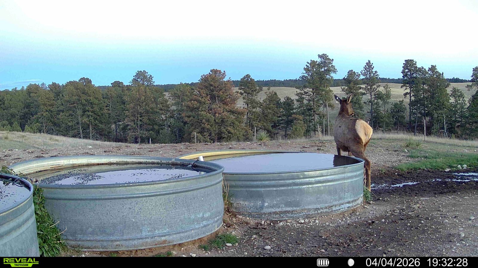 1,319 Acres, Dawes County, Pine Ridge Recreational Oasis