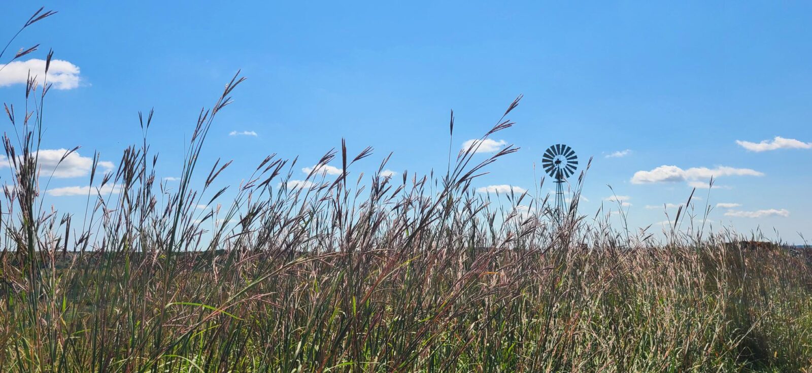 Gosper County Nebraska Land For Sale