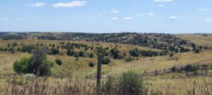 Gosper County Nebraska Land For Sale