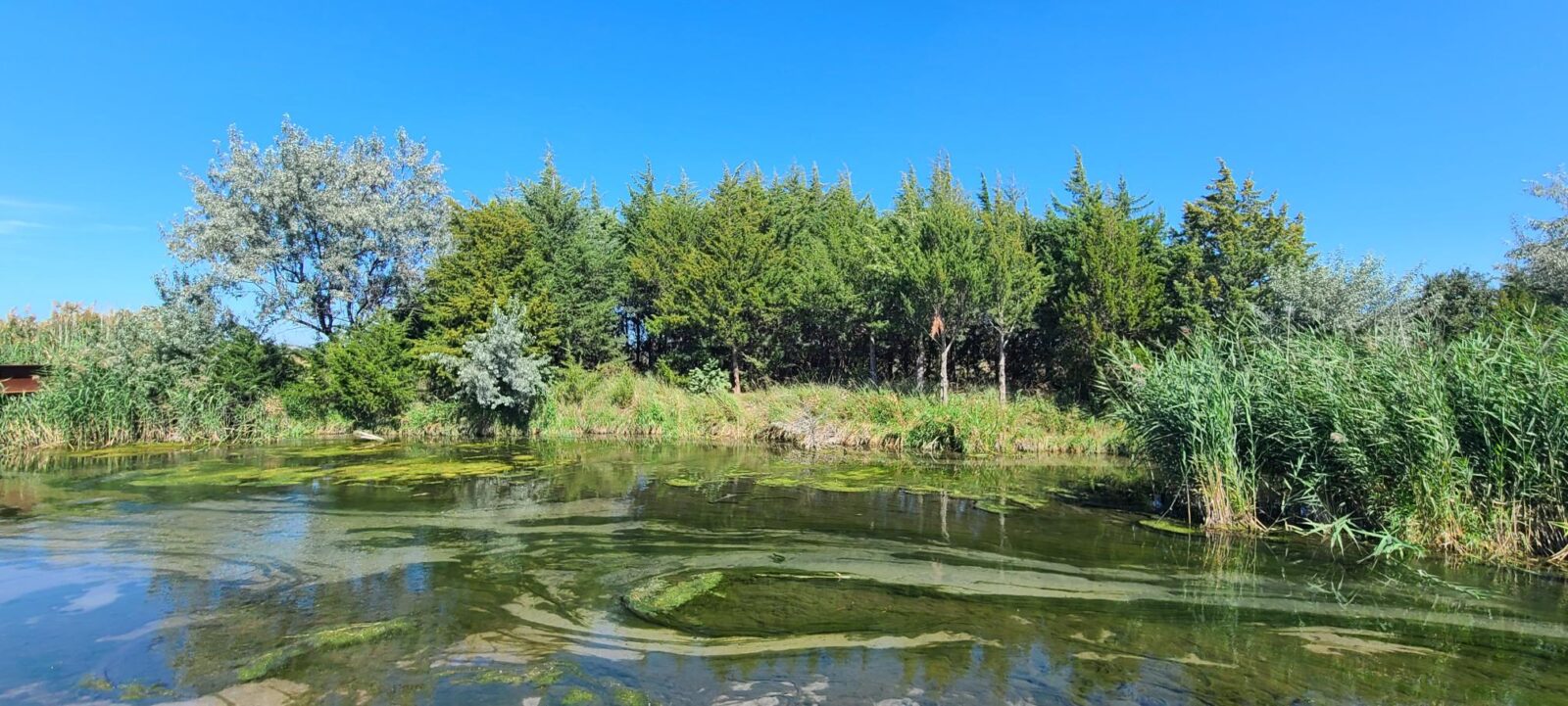 North Platte, Nebraska land for sale