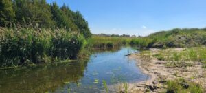 North Platte, Nebraska land for sale