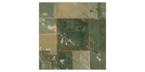160 Acres, Cheyenne County CRP North