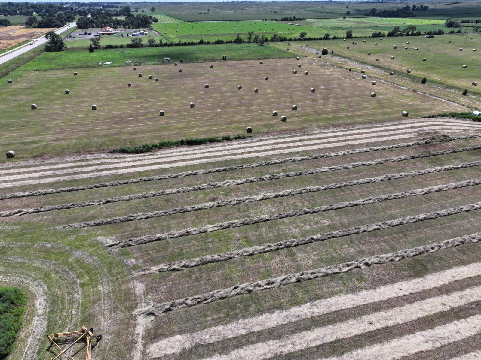 Buffalo Frontage Lot