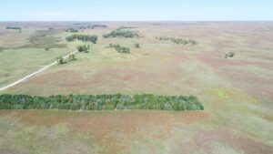 Brown County Ainsworth, Nebraska pasture land for sale