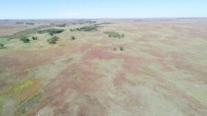 Brown County Ainsworth, Nebraska pasture land for sale