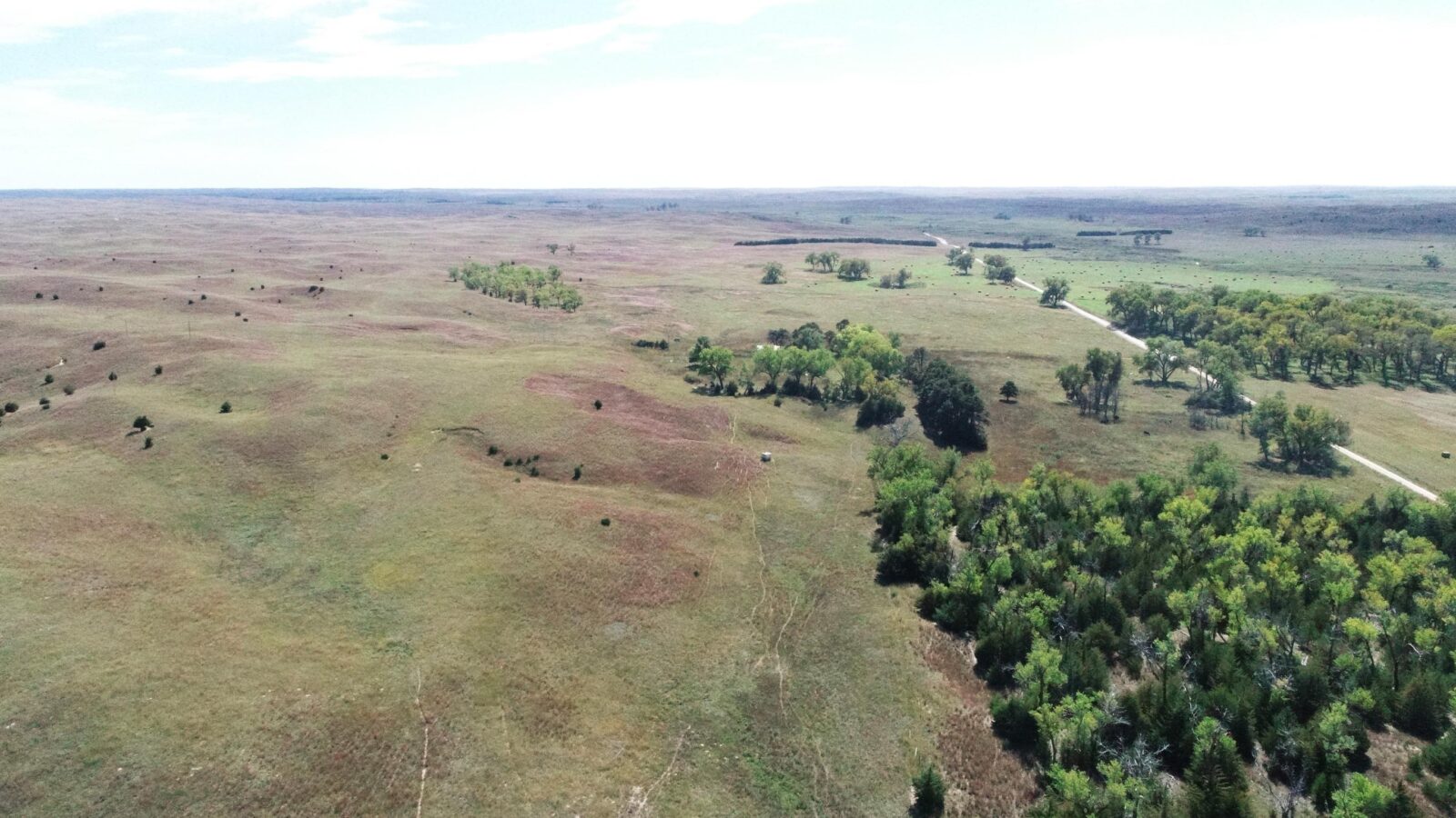 Brown County Ainsworth, Nebraska pasture land for sale