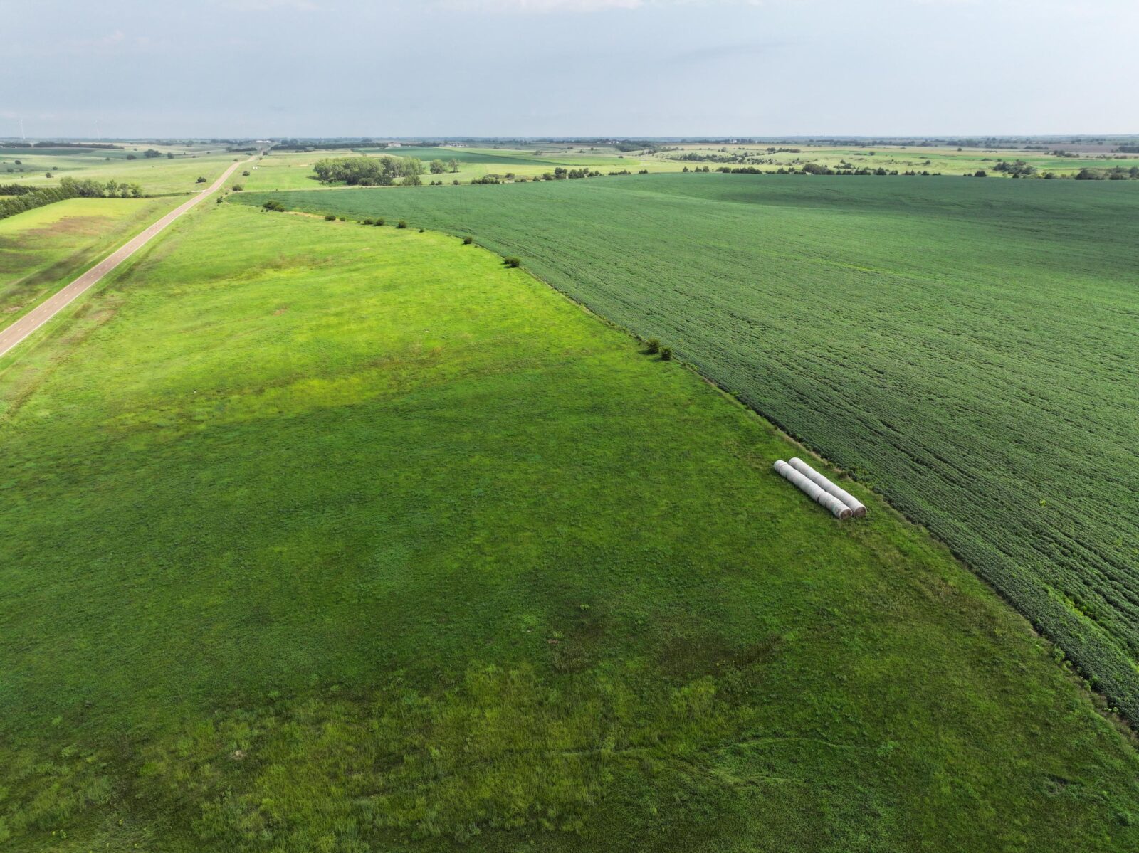 Webster County Nebraska land for sale