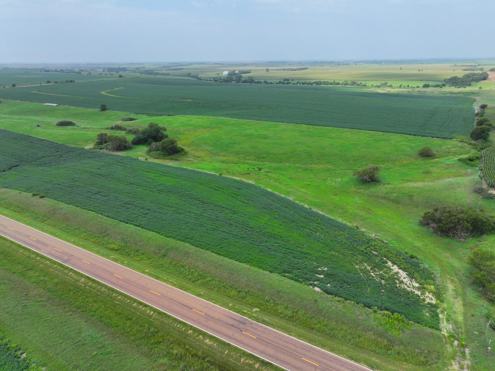 Webster County Nebraska land for sale