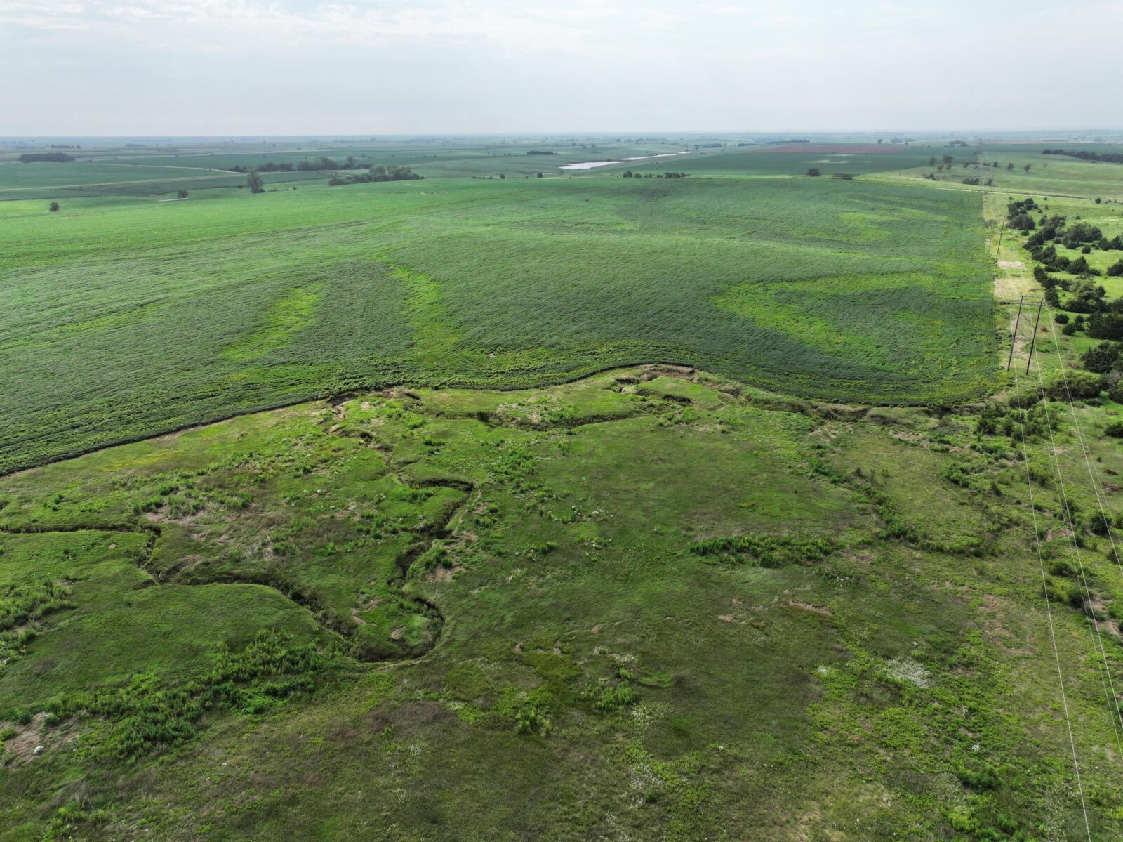 Webster County Nebraska land for sale