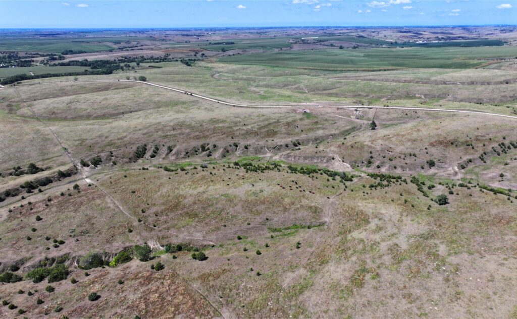320 Acres, Gosper County Grass  