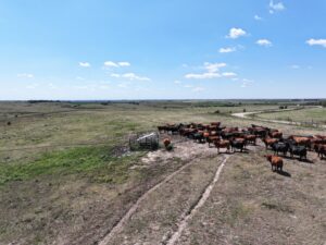 Gosper County Nebraska Land For Sale