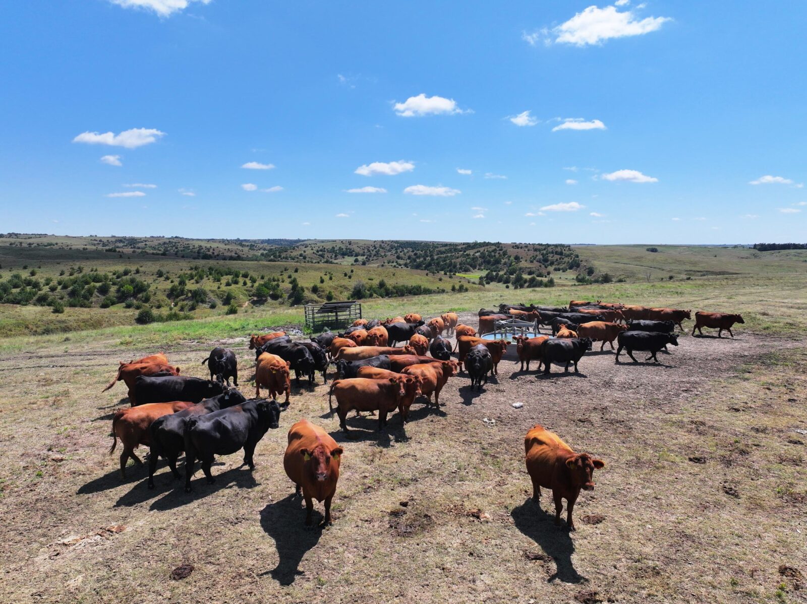 Gosper County Nebraska Land For Sale