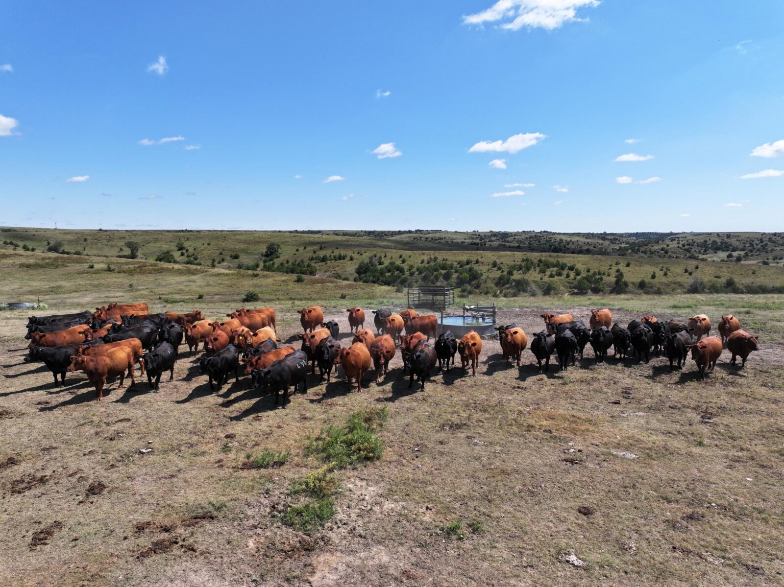 Gosper County Nebraska Land For Sale