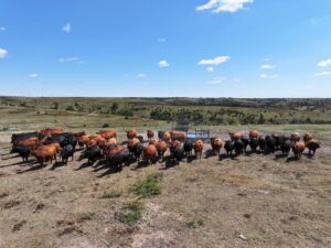Gosper County Nebraska Land For Sale