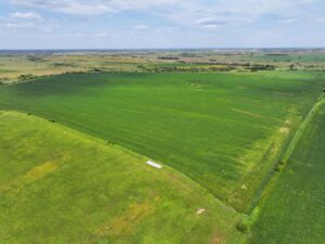 Webster County Nebraska land for sale