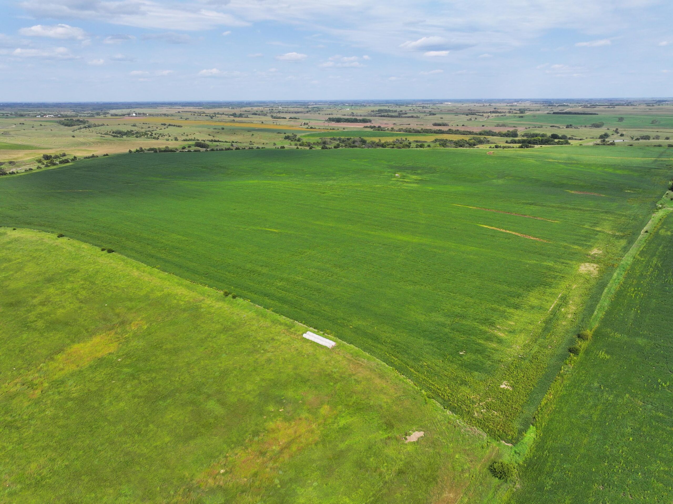 320 Acres, Webster County Dryland Quarters - Lashley Land