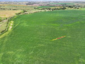 Webster County Nebraska land for sale
