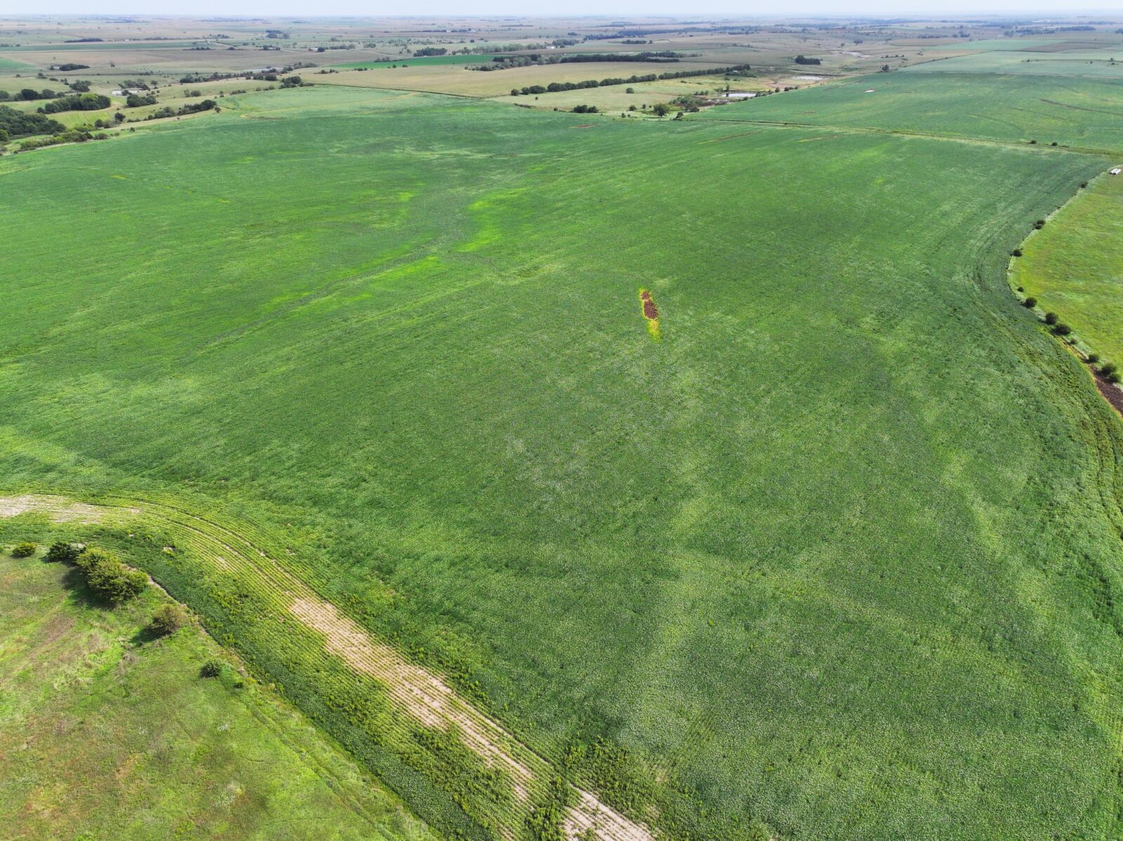 Webster County Nebraska land for sale