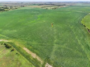 Webster County Nebraska land for sale