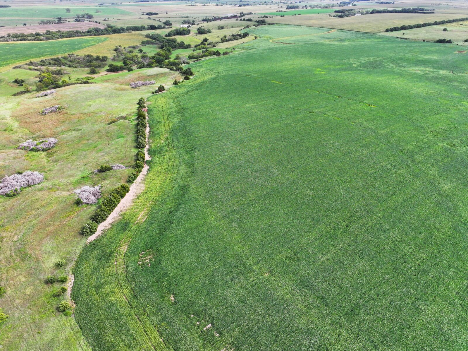 Webster County Nebraska land for sale