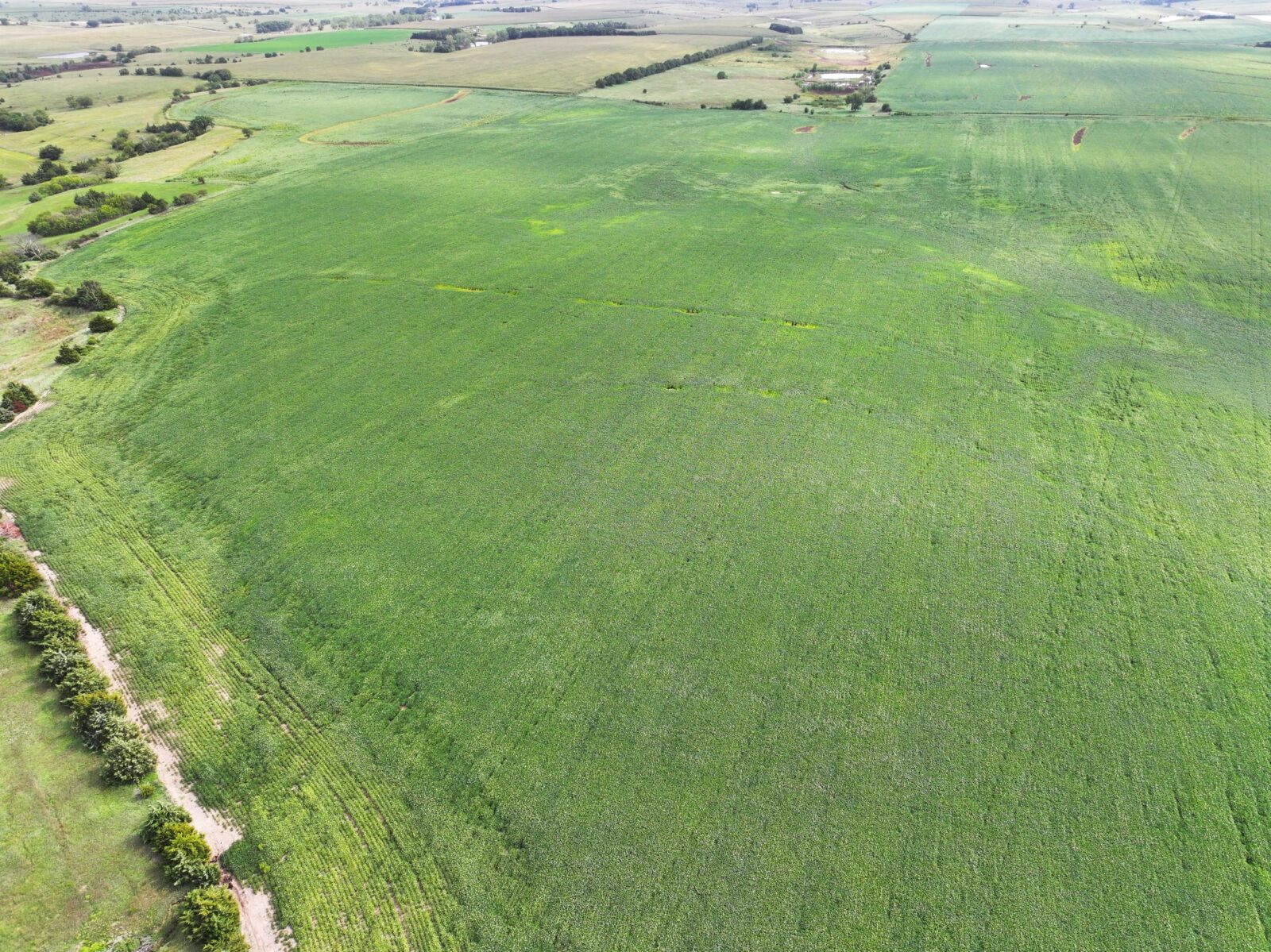 Webster County Nebraska land for sale