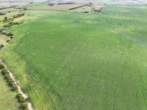 Webster County Nebraska land for sale