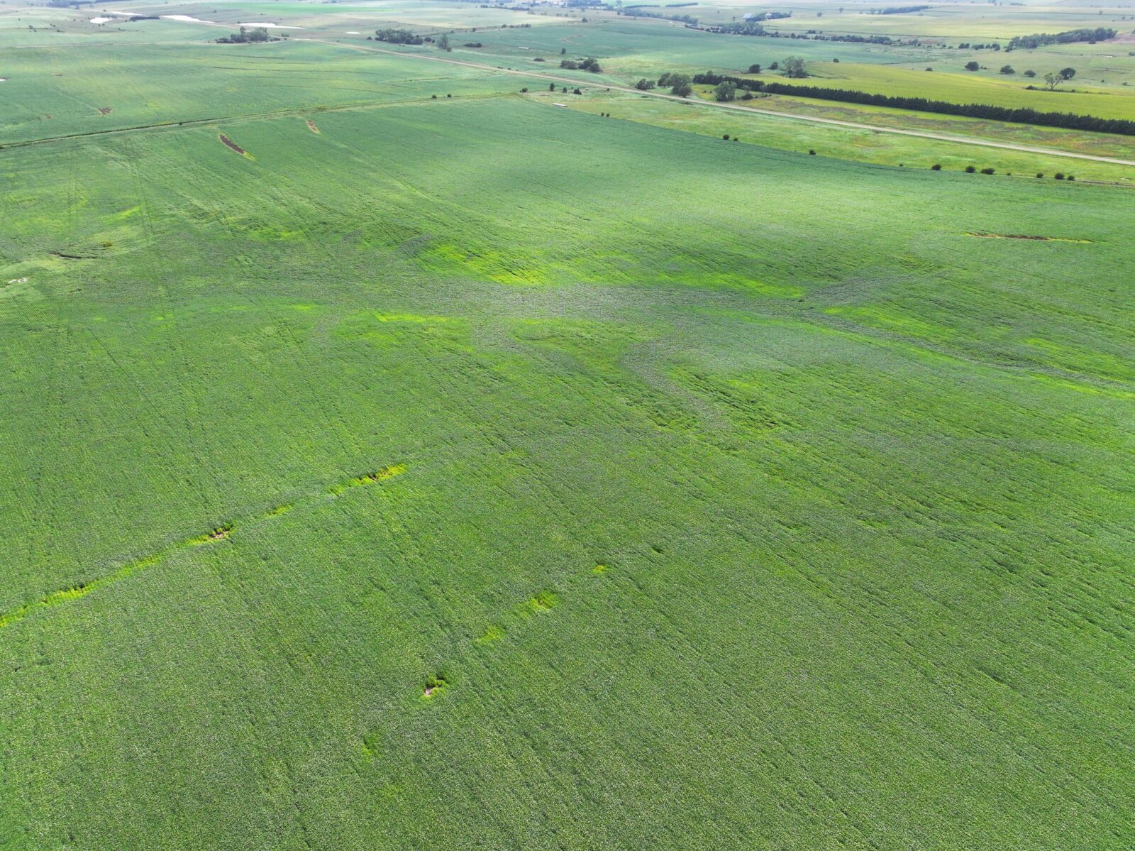 Webster County Nebraska land for sale