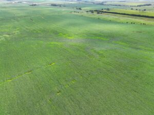 Webster County Nebraska land for sale