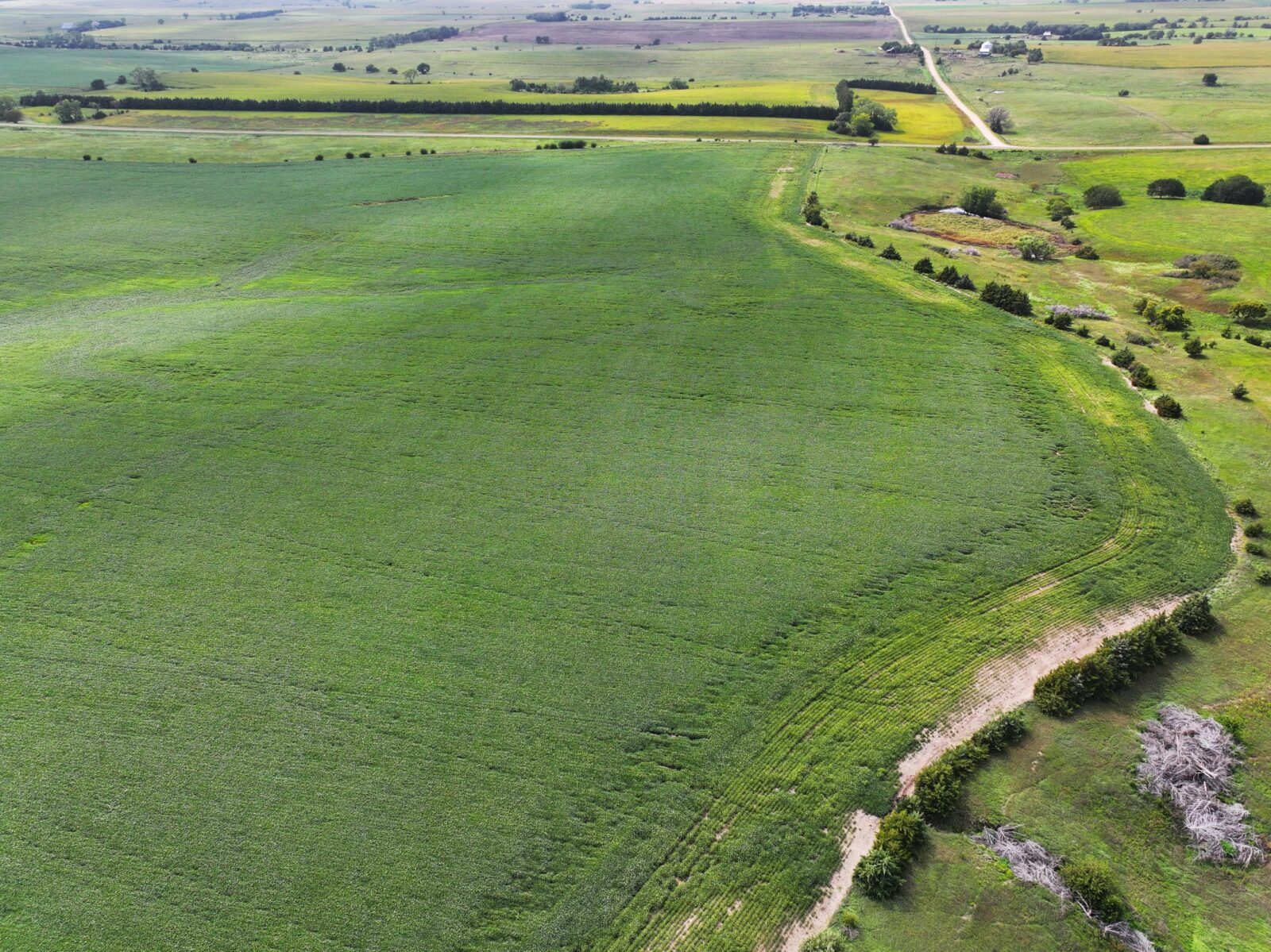 Webster County Nebraska land for sale