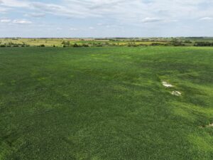 Webster County Nebraska land for sale