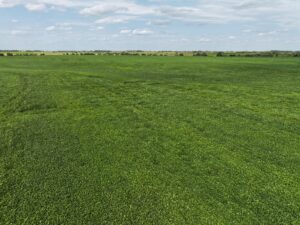 Webster County Nebraska land for sale