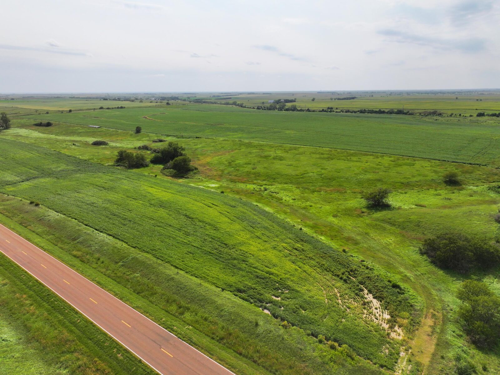 Webster County Nebraska land for sale