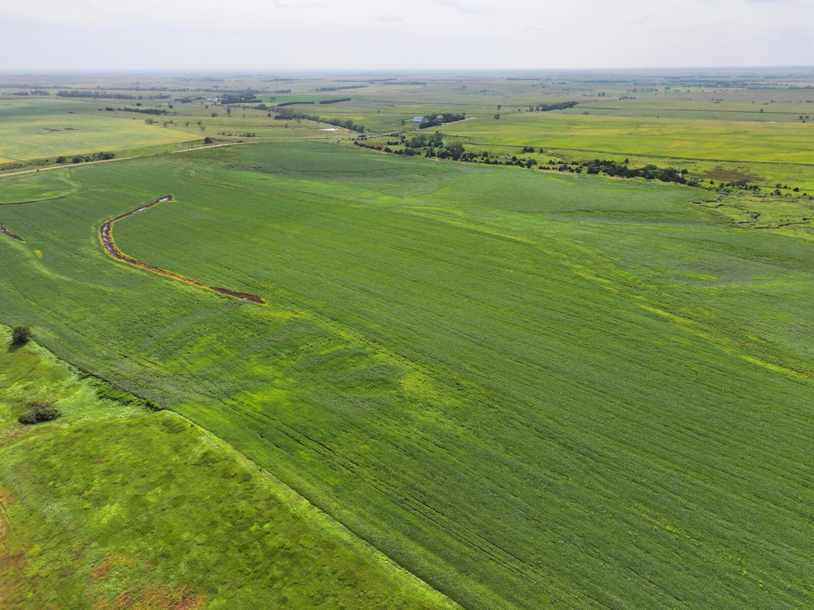 Webster County Nebraska land for sale