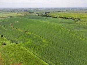 Webster County Nebraska land for sale