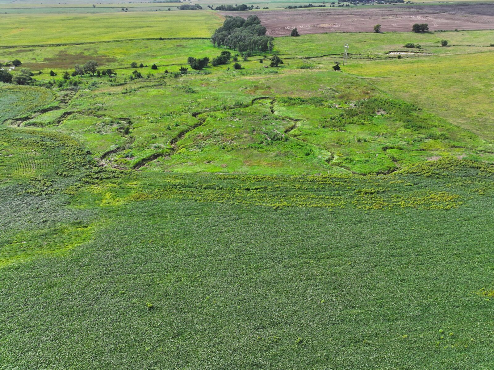 Webster County Nebraska land for sale