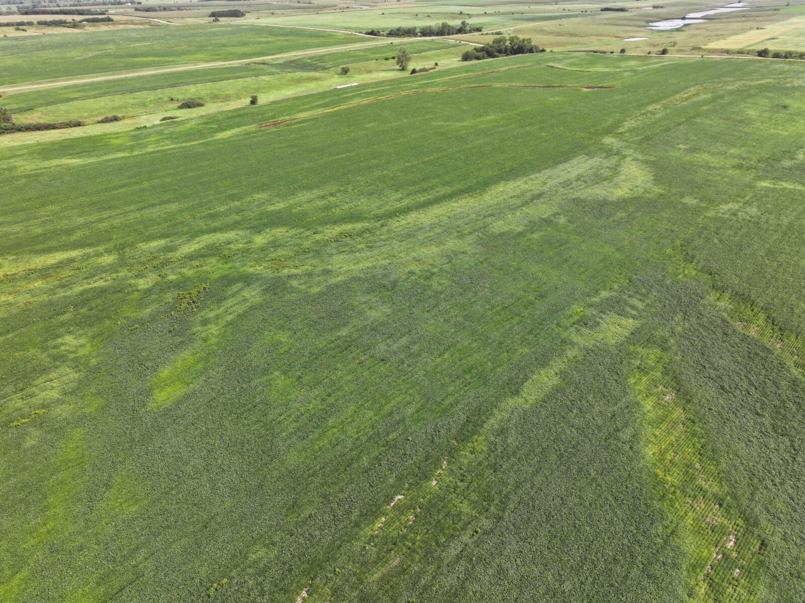 Webster County Nebraska land for sale