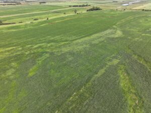 Webster County Nebraska land for sale