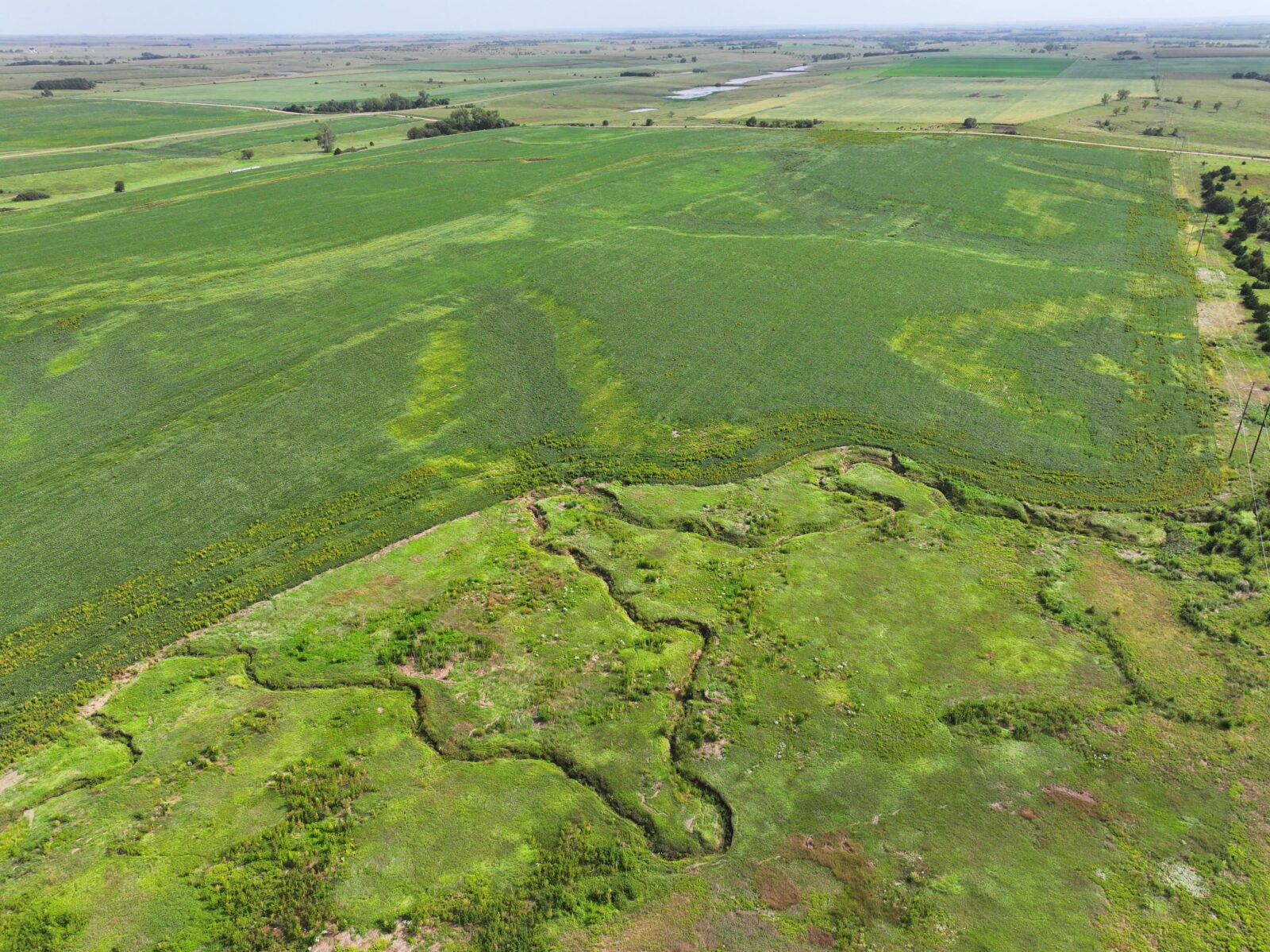 Webster County Nebraska land for sale