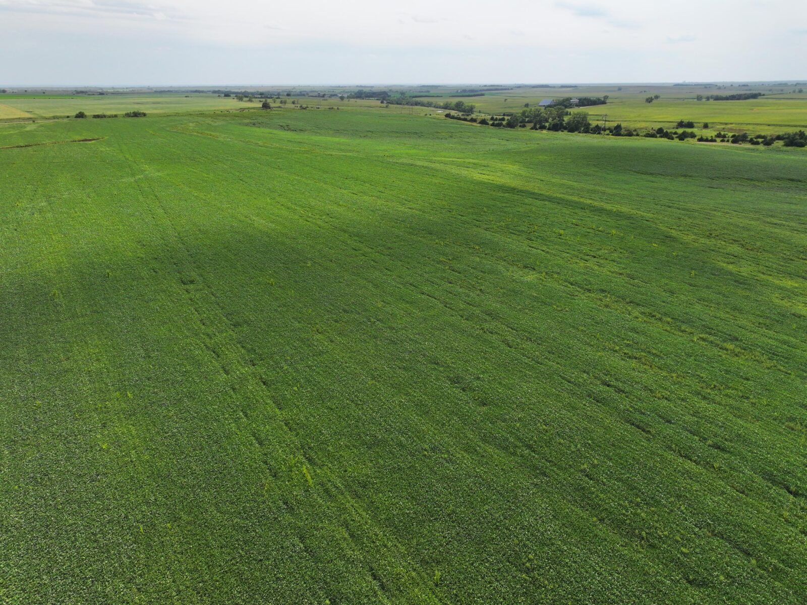 Webster County Nebraska land for sale