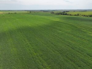 Webster County Nebraska land for sale