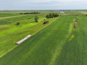 Webster County Nebraska land for sale