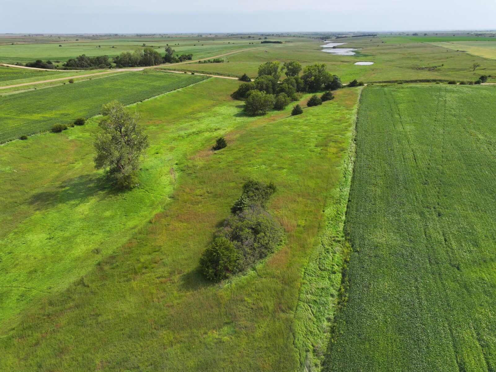 Webster County Nebraska land for sale
