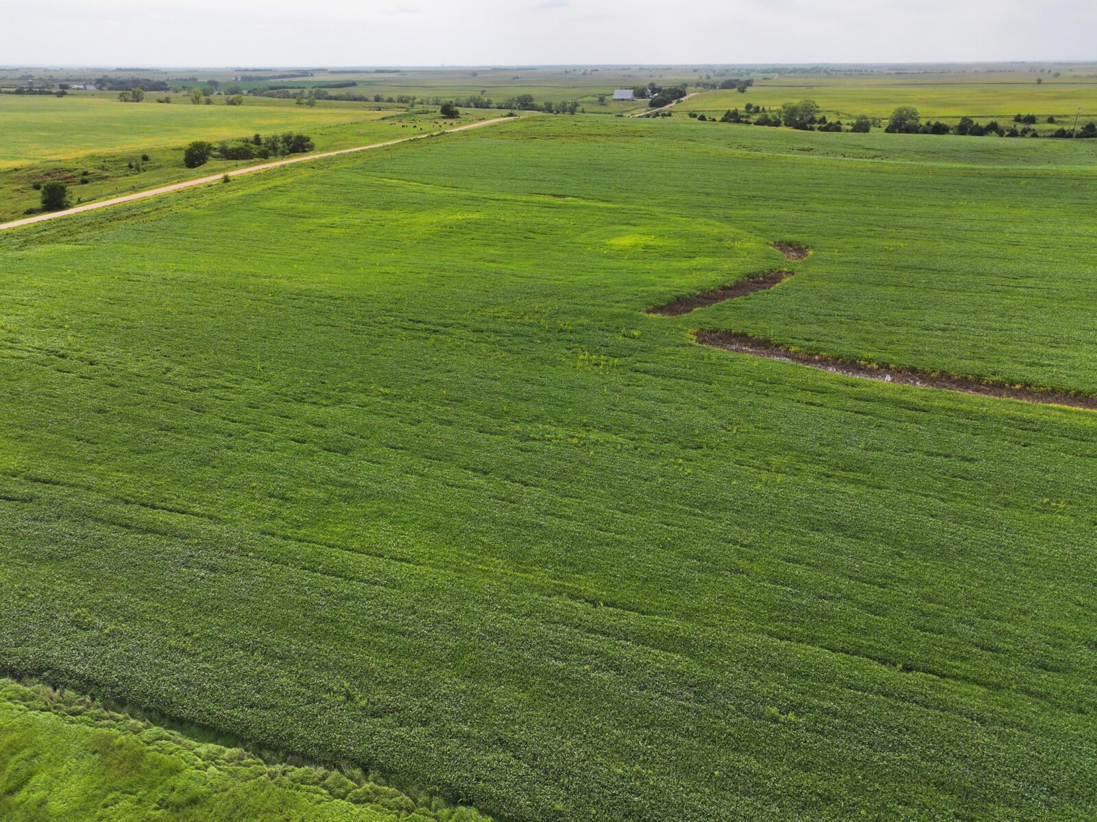 Webster County Nebraska land for sale
