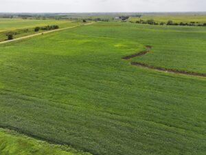 Webster County Nebraska land for sale